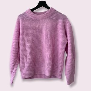Everlane Alpaca Crew Sweater